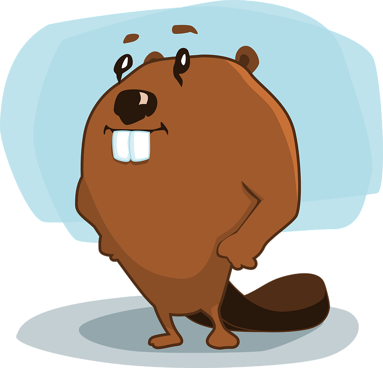 Castor no se lava los dientes