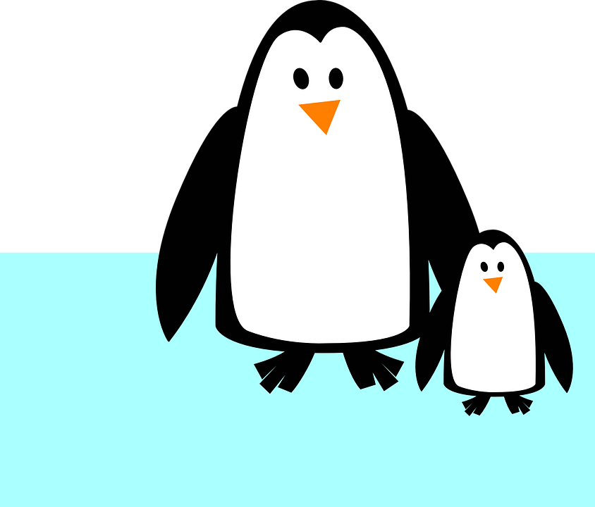 Pinguino protegido por su mamá